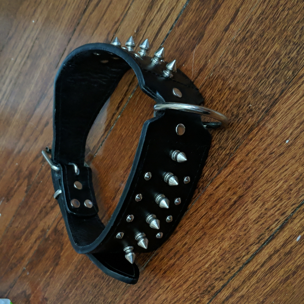 Spiked Collar